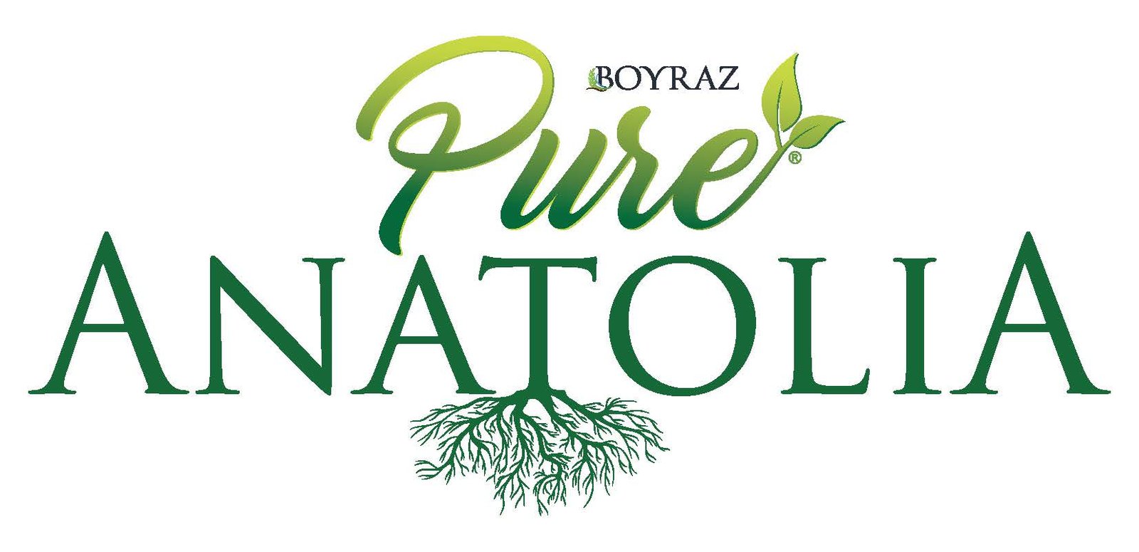 Pure Anatolia logo